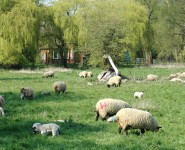 Hughenden