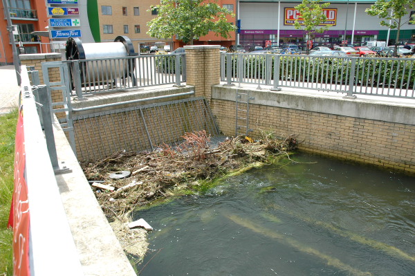 Trash screen catching debris
