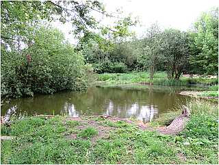 Funges Meadow