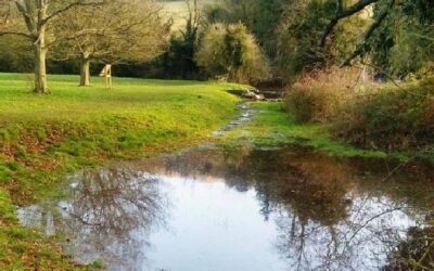 Good News – Hughenden Stream Flowing again