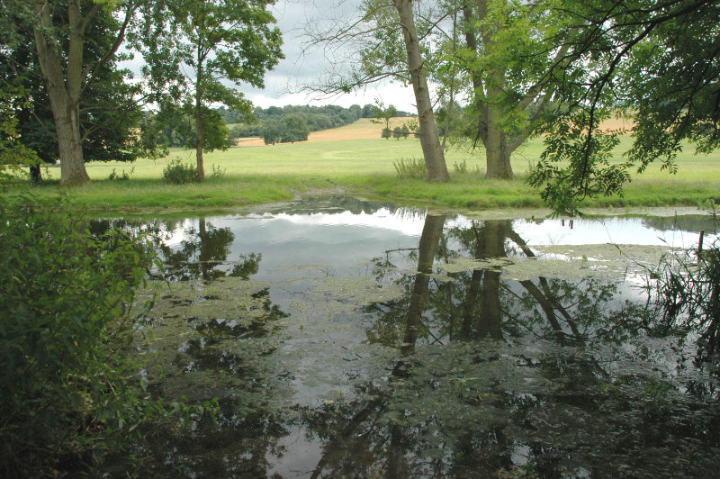 River Wye