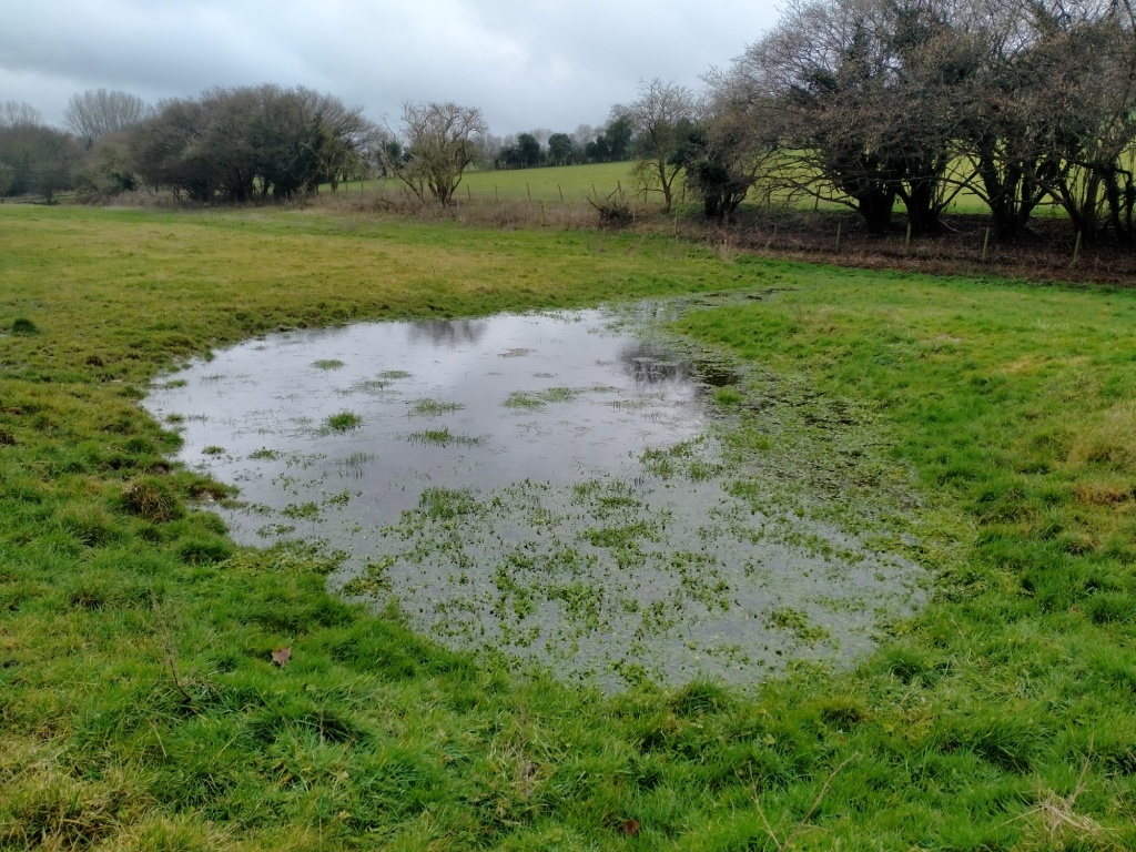 Dew pond