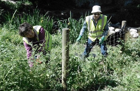 Jane and Steve pulling nettles