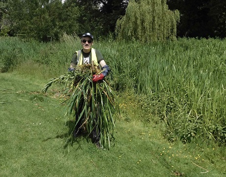 Simon moving removed vegetation to the collection site Simon moving removed vegetation to the collection site