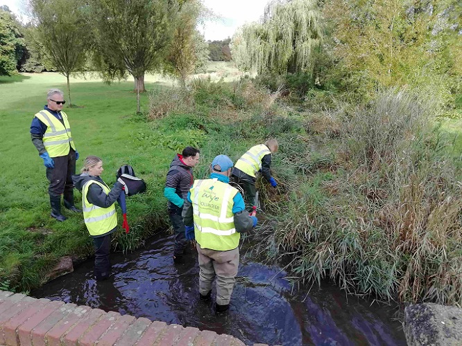 Starting to clear the stream channel Starting to clear the stream channel