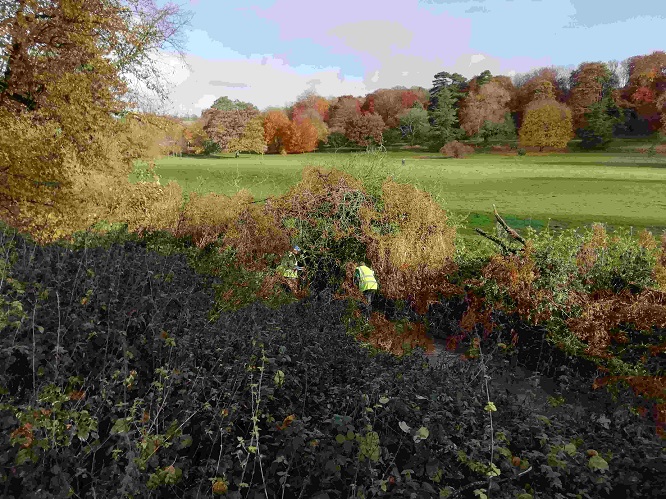 Action on the Hughenden Stream 2021