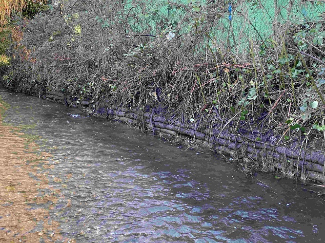 Tennis Club bankside after cutting back excess vegetation