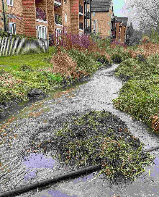After clearance of in-stream vegetation After clearance of in-stream vegetation