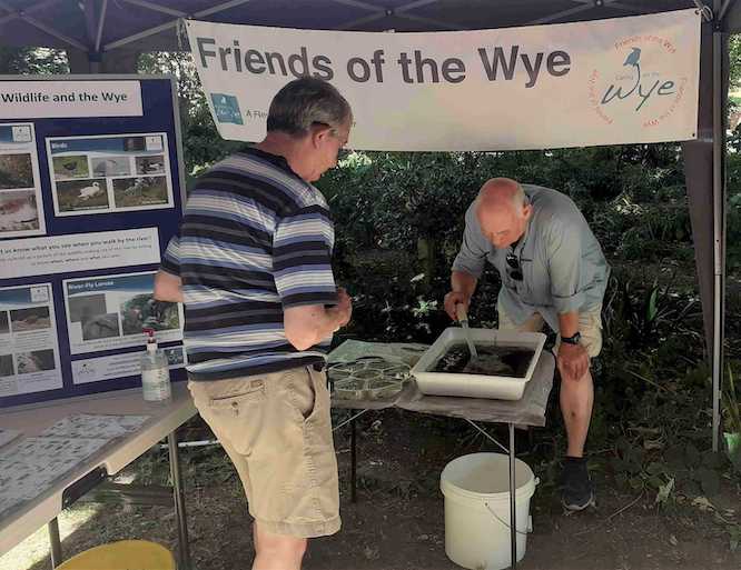 Volunteers preparing the display of river wildlife