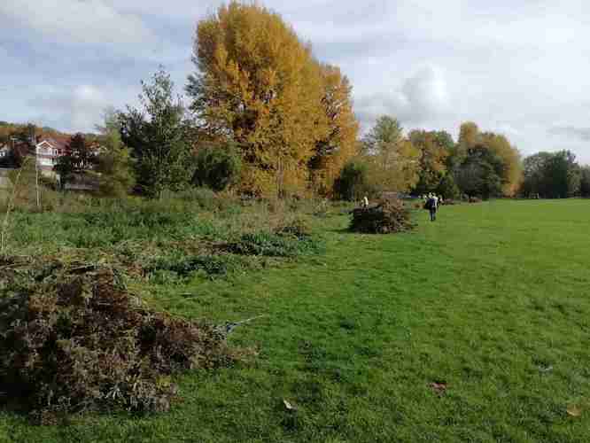 Excess bankside vegetation cut back and ready for removal from site Excess bankside vegetation cut back and ready for removal from site