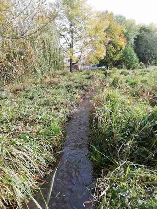 North channel after removal of vegetation North channel after removal of vegetation