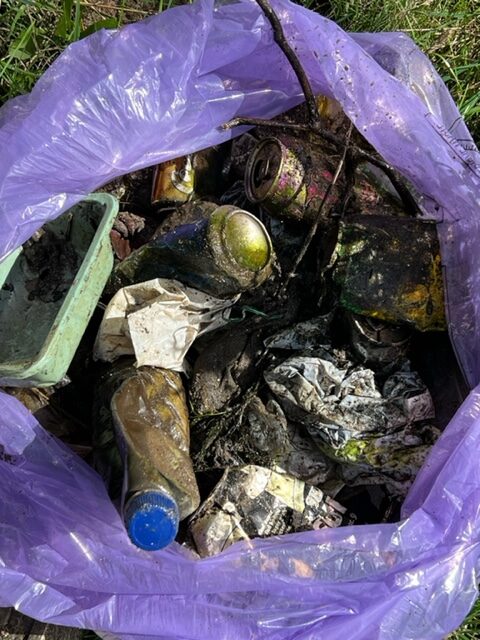 Examples of rubbish removed from the river
