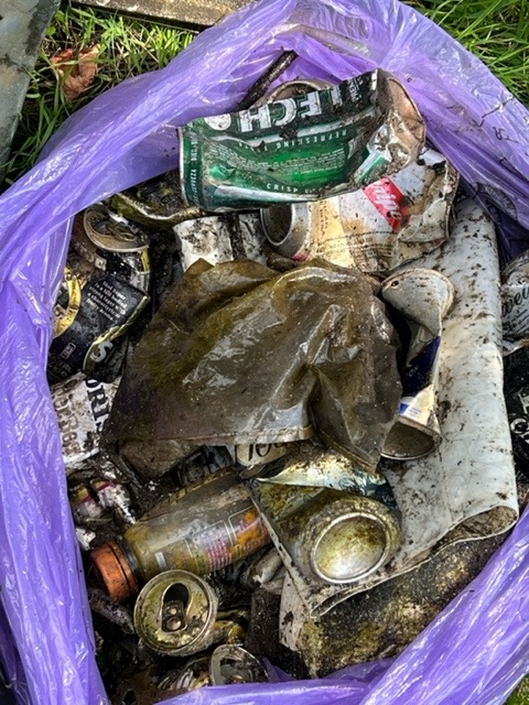 Examples of rubbish removed from the river