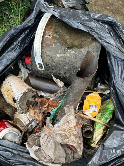 Examples of rubbish removed from the river
