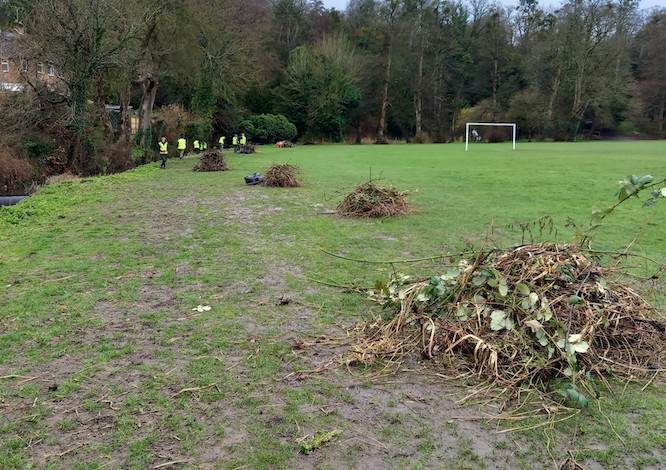 Volunteers and piles of woody debris and overgrown vegetation Volunteers and piles of woody debris and overgrown vegetation