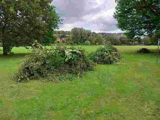 Some of the cut green material ready for removal from site Some of the cut green material ready for removal from site