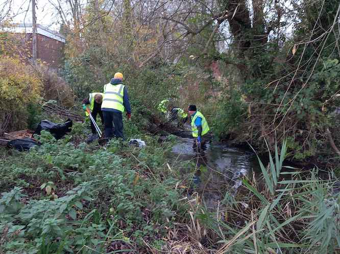 Volunteers clearing the bank and stream Volunteers clearing the bank and stream