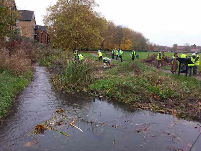 View after removal of vegetation View after removal of vegetation