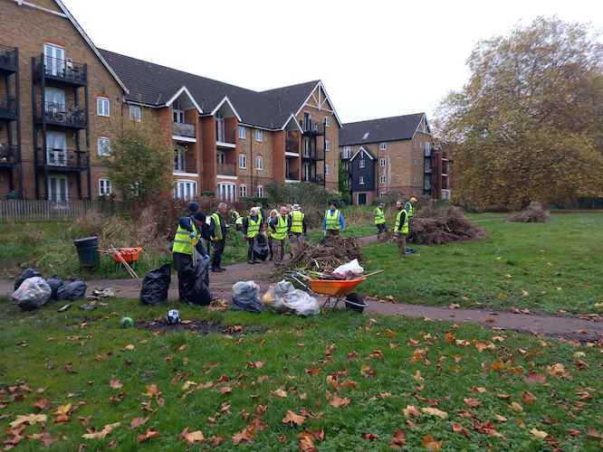 Piles of removed vegetation and bags of rubbish Piles of removed vegetation and bags of rubbish