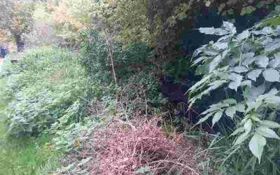 Sunday 19 October 2025