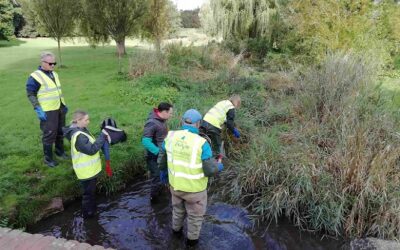 The Hughenden Stream conservation – Tuesday 5 October 2021