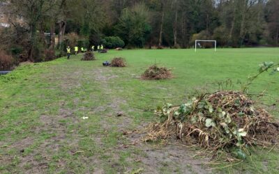 Friends of the Wye conservation at the Rye & Holywell Mead – Tuesday 28 March 2023