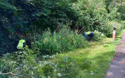 River Wye conservation at Desborough Park – Sunday 16 July 2023