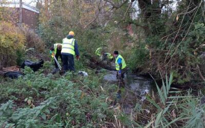 River Wye conservation at Desborough Park – Saturday 9 November 2024