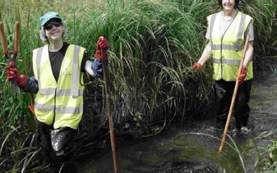 Desborough Recreation Ground Vegetation Removal