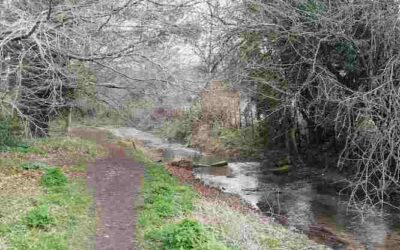Partnership working on the Hughenden Stream 18 March 2022