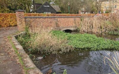 River Wye conservation on the Rye – Tuesday 26 April 2022