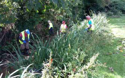 Friends of the Wye conservation at Holywell Mead – Friday 9 August 2024