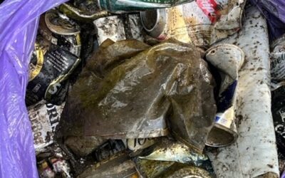 Thames 21 PlasticBlitz clean-up in Wooburn Park. 18 September 2022
