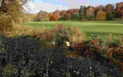 Action on the Hughenden Stream 2021