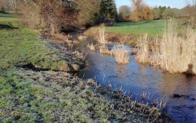 The Hughenden Stream Rises Again 2 January 2023