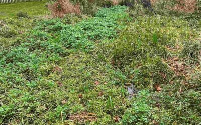Desborough Rec. December 2021 – We knew the river was in there!